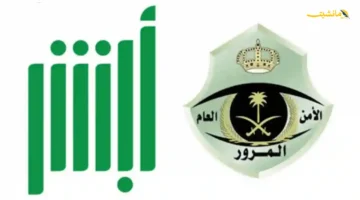 بدأت اليوم.. المرور يكشف أسرار المزاد المنتظر على لوحات السيارات المميزة 1